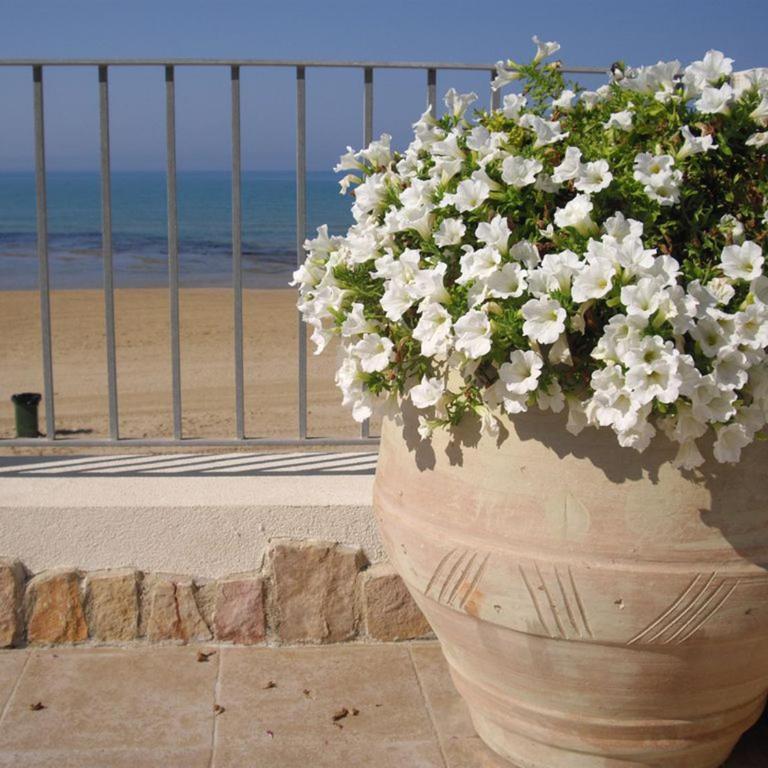 Villa Punta Piccola sul mare - Ferienhaus - 22