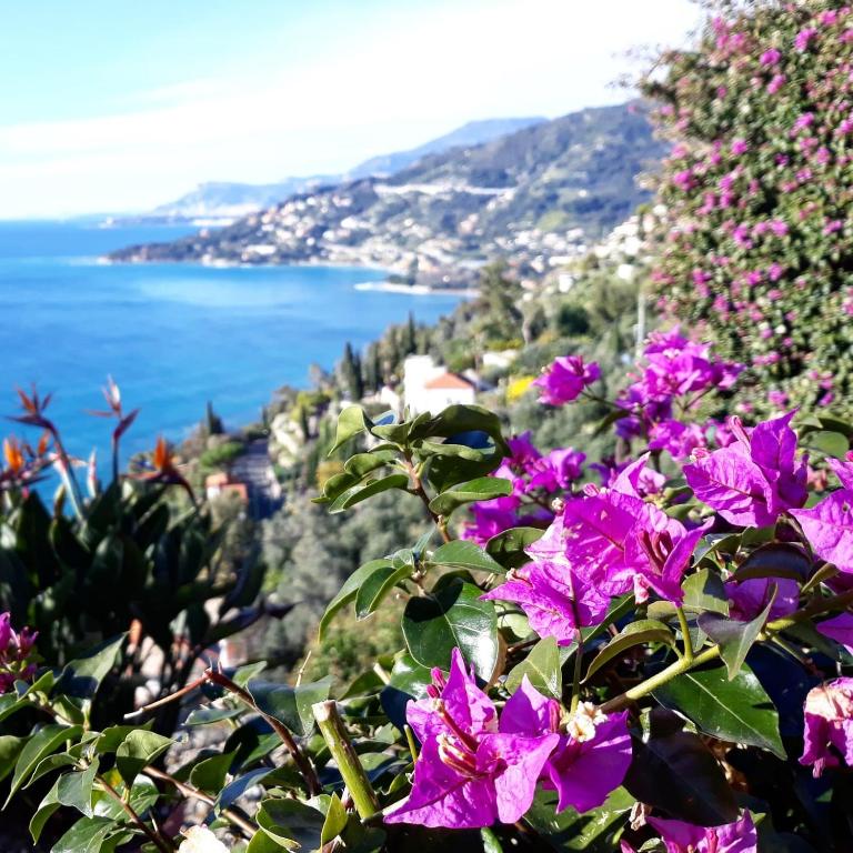 Appartamento Sanremo fiorita - Appartamento con 1 Camera da Letto - 4