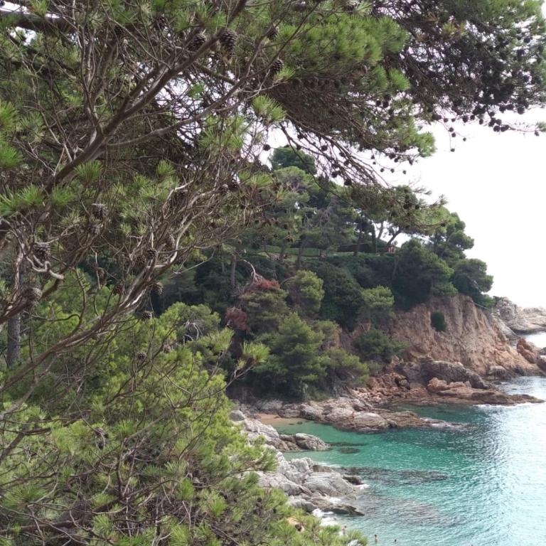 Neptuno, Cala Salions, Tossa de Mar, Costa Brava - Apartamento de 2 dormitorios con vistas al mar - 89