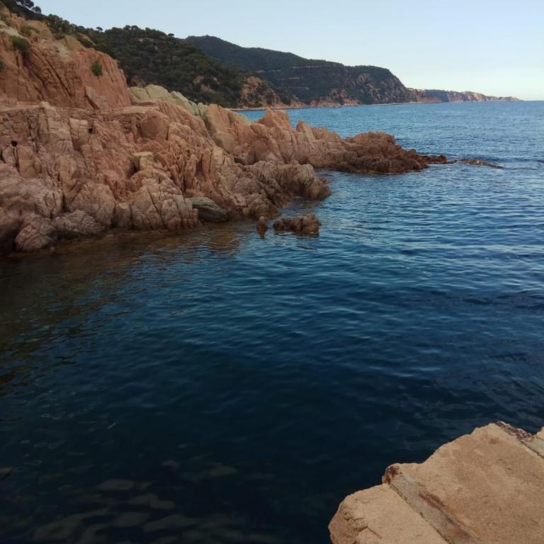 Neptuno, Cala Salions, Tossa de Mar, Costa Brava - Apartamento de 2 dormitorios con vistas al mar - 90