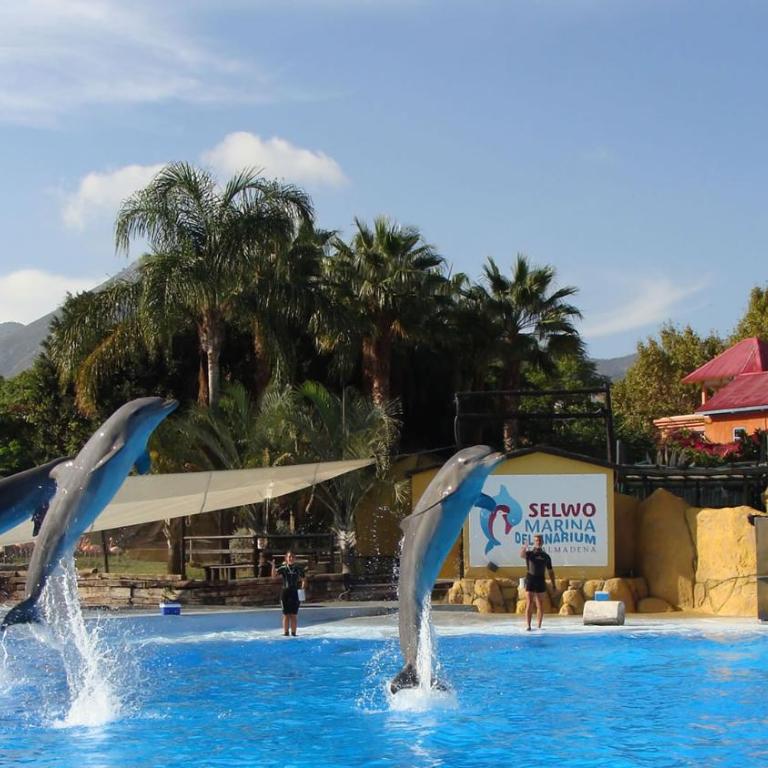 Apartments Benalmadena - Apartamento - 54