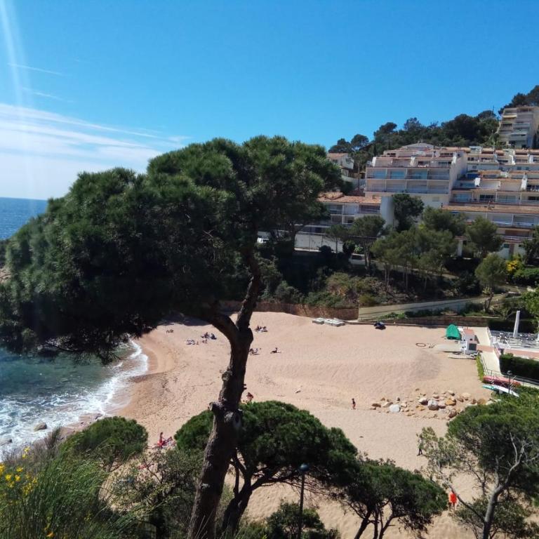 Chalana I, Cala Salions, Tossa de Mar - Apartamento - 53