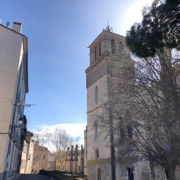 Le Logis du Chanoine, 50 m2 and terrace face to Cathedral - Appartement 1 Chambre - 36