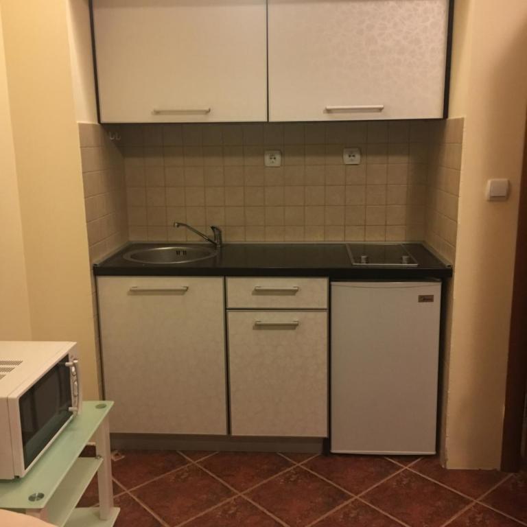 Apartments Villa Viktoria - One-Bedroom Apartment - 4