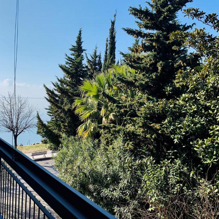 Front Lake Apartment Bardolino - Appartamento con Vista Laterale Lago - 1