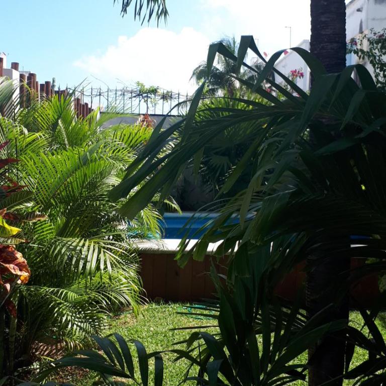 Casa Nona Azul - Apartment with Garden View - 40
