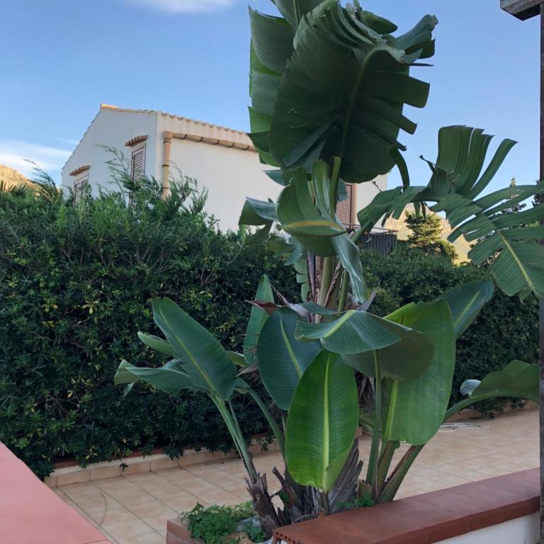 Villa a San Vito lo Capo Minaudo - Casa Vacanze - 5