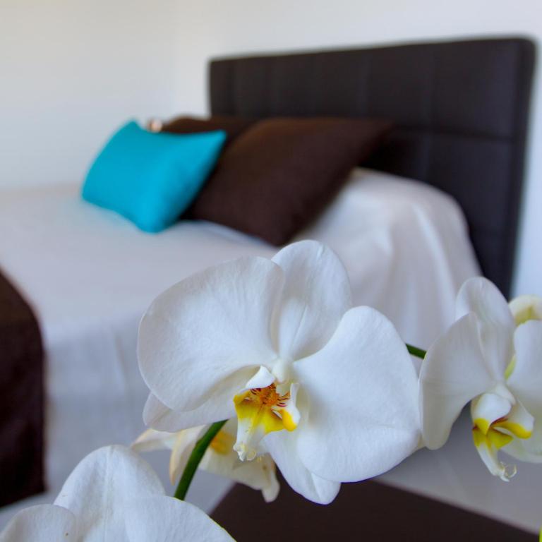 Bleu Mer Duplex & Suites - Appartement en Duplex avec Vue - 9