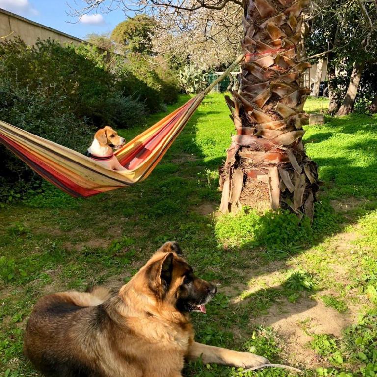 Villa in Salento - Appartamento con 1 Camera da Letto - 1