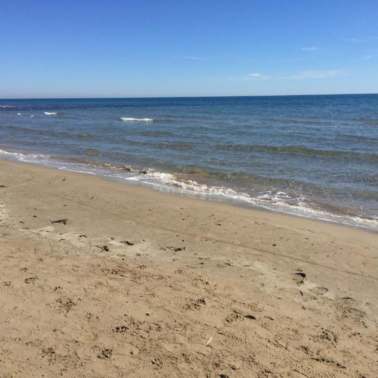 Las Terrazas I Magic World con Netflix, Disney plus y Prime Video - Apartamento con vistas al mar - 46