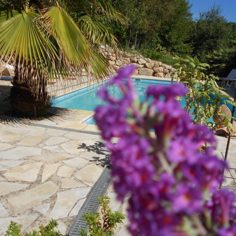 Le Mas de FRAYERE - Chambre Double - Vue sur Piscine - 14