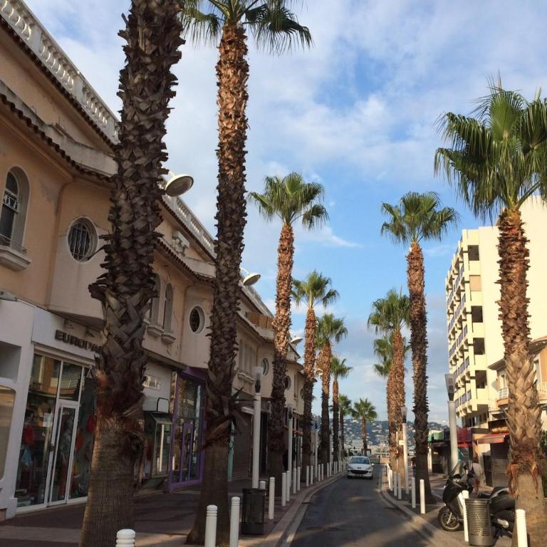 Studio- Antibes-Juan les Pins- Cote d'Azur - Apartment - 18