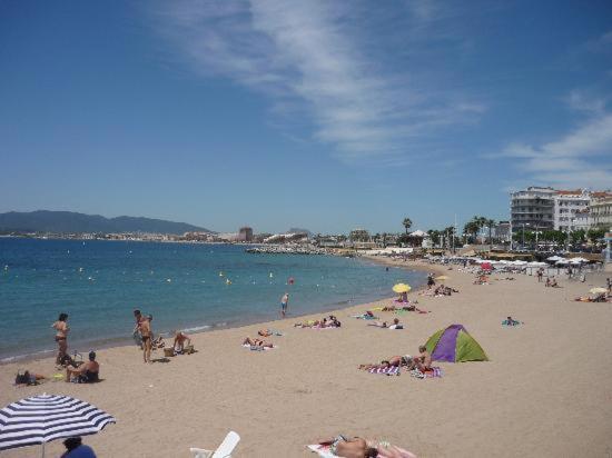 Studio- Antibes-Juan les Pins- Cote d'Azur - Apartment - 1