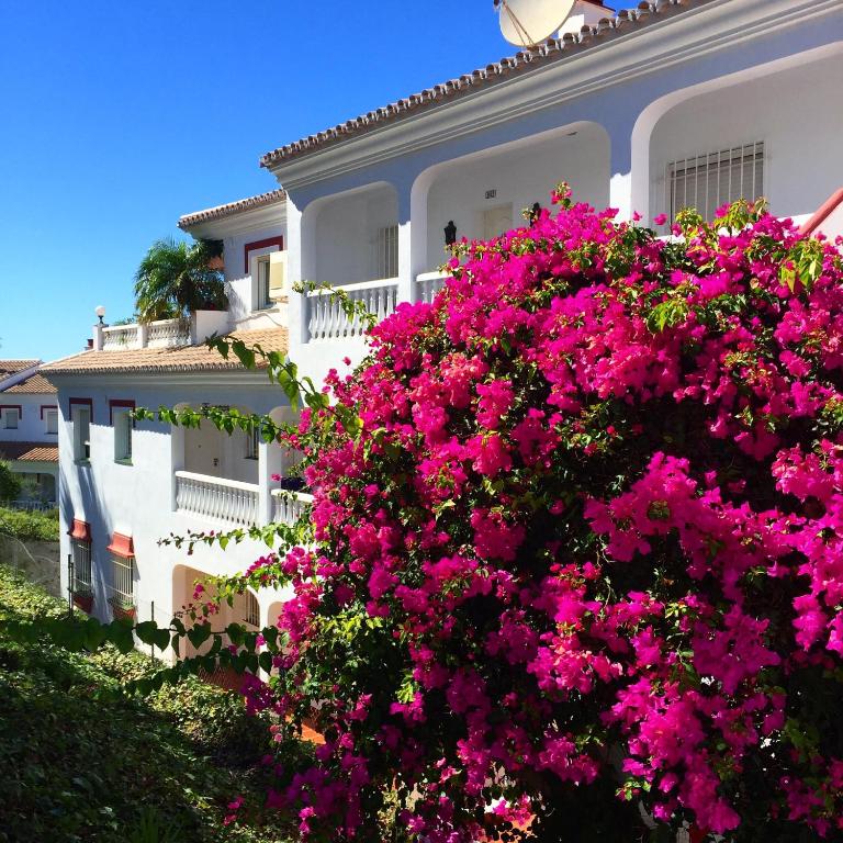 Casa Angi - Two-Bedroom Apartment - 33