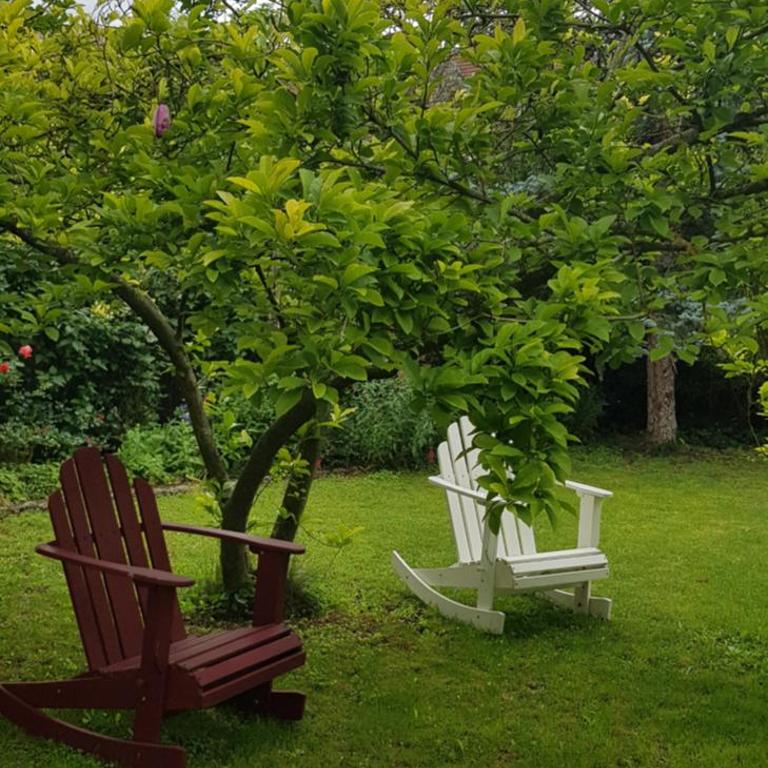 Appartement Villa LES TILLEULS - Appartement - Vue sur Jardin - 5