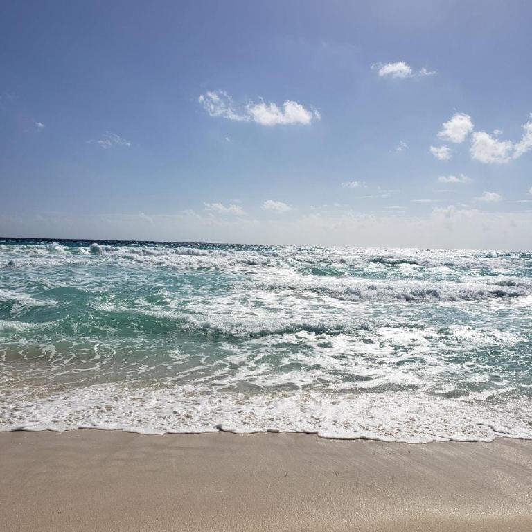 Beachfront Three-Story Coastal Penthouse, 3BR-3BA - Penthouse Apartment - 13