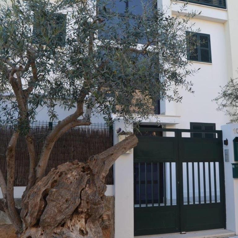 Tramuntana & Beach - Apartamento de 1 dormitorio - 18