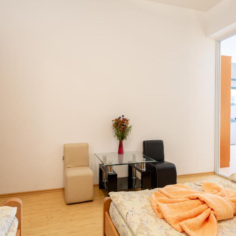 Guesthouse Sunny - Superior Porodična Soba - 7