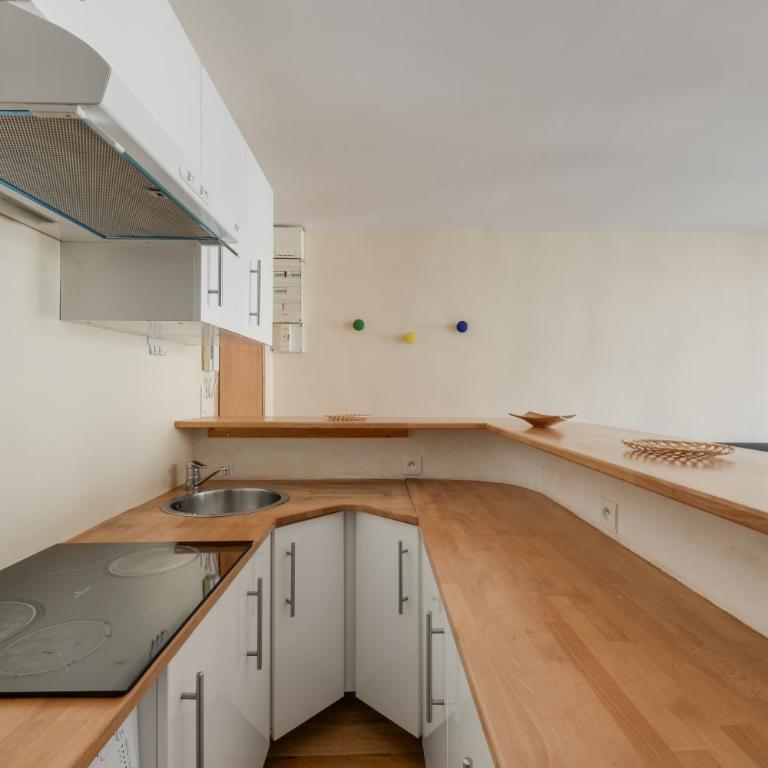 Châtelet, rue Saint Denis 25 - ID 308 - Appartement 1 Chambre - 7