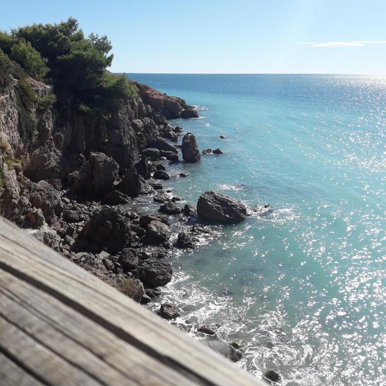 LA CORNICHE SETE 15 Rue de Savoie - Superior Studio - 12