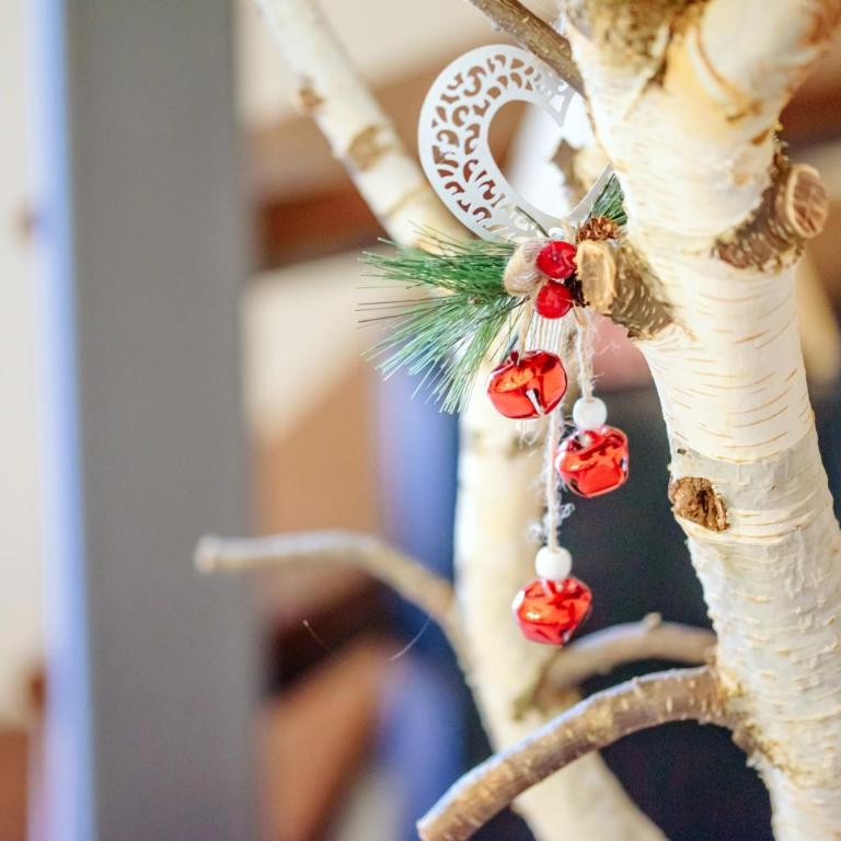 Vila Barović - Kolasin - Vila - 12