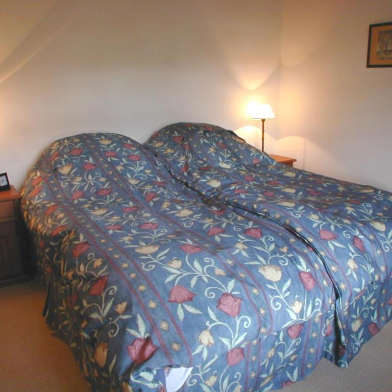 Aves del Sur - One-Bedroom Bungalow (4 Adults) - 19