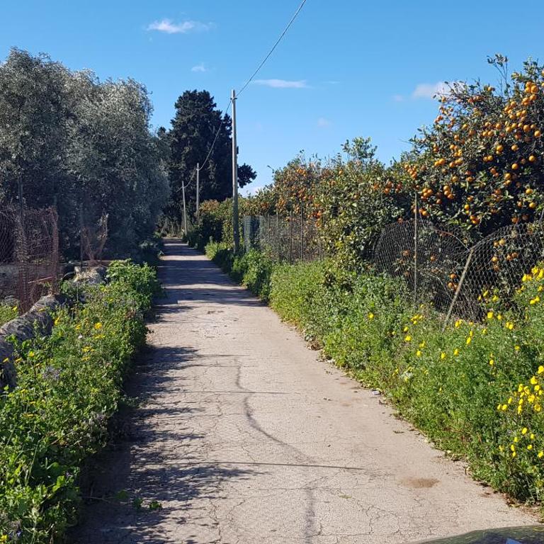 Casa Abela New - Appartamento con 2 Camere da Letto - 11
