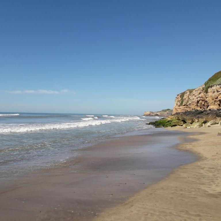 La Lucinda - Campo y mar - Cabaña (4 adultos) - 5