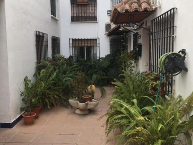 El rincon de la Juderia - Apartamento - 8
