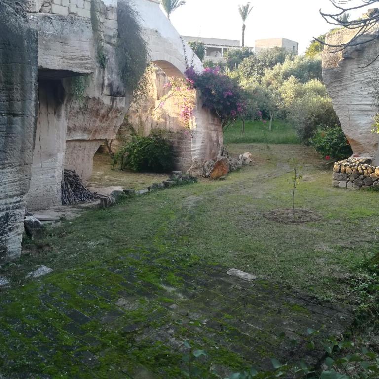 Le Case Di Tufo Riccio di mare - Casa Vacanze - 22