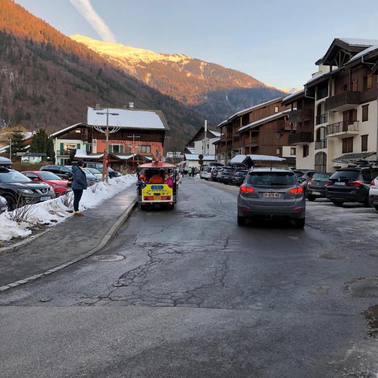 ECRINS ETOILE C9 - Apartment mit Blick auf die Berge - 30
