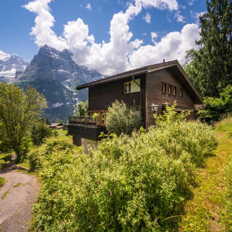 Luftschloss - Chalet - 2