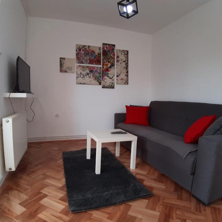 Apartment Teodora - One-Bedroom Apartment with Terrace - 4