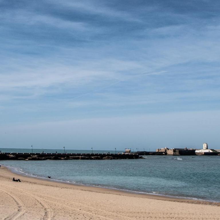 Apartamento Sueño de la Caleta - Apartamento - Planta baja - 43