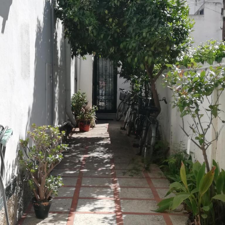 Heliópolis II - Apartamento - 6