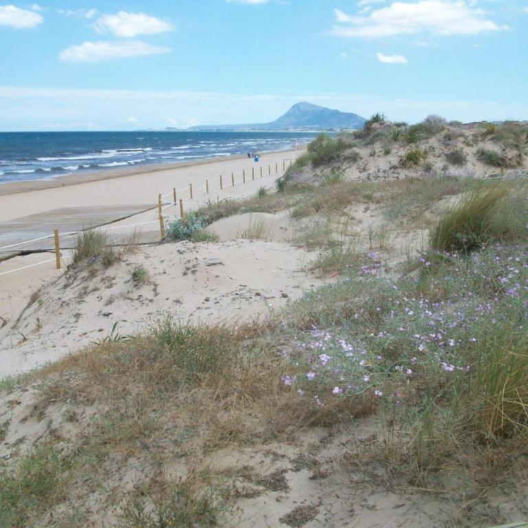SAN FERNANDO 40 - A 100 metros de la Playa - Apartamento de 3 dormitorios - 26