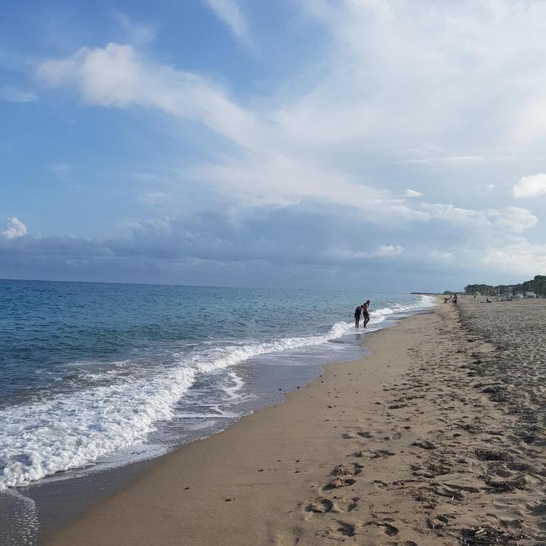Los Flamencos, frontal al mar y playa a 10 metros - Apartment - 19