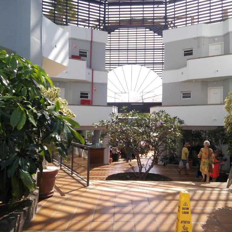 Private Apartment 150 HG Tenerife Sur - Apartamento - 19