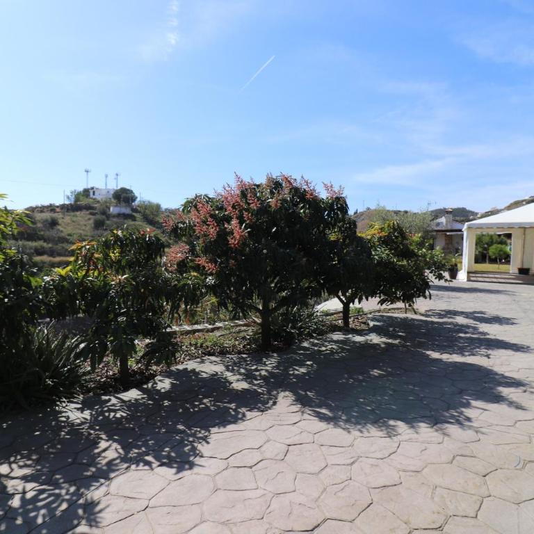 Villa Magnolias SpainSunRentals 1093 - Villa con piscina privada - 28