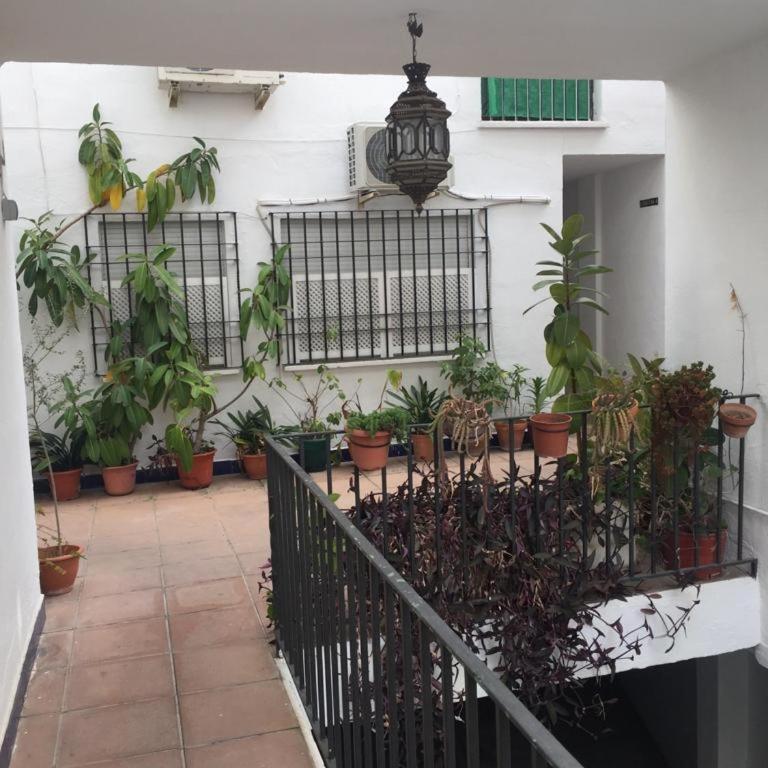 El rincon de la Juderia - Apartamento - 7