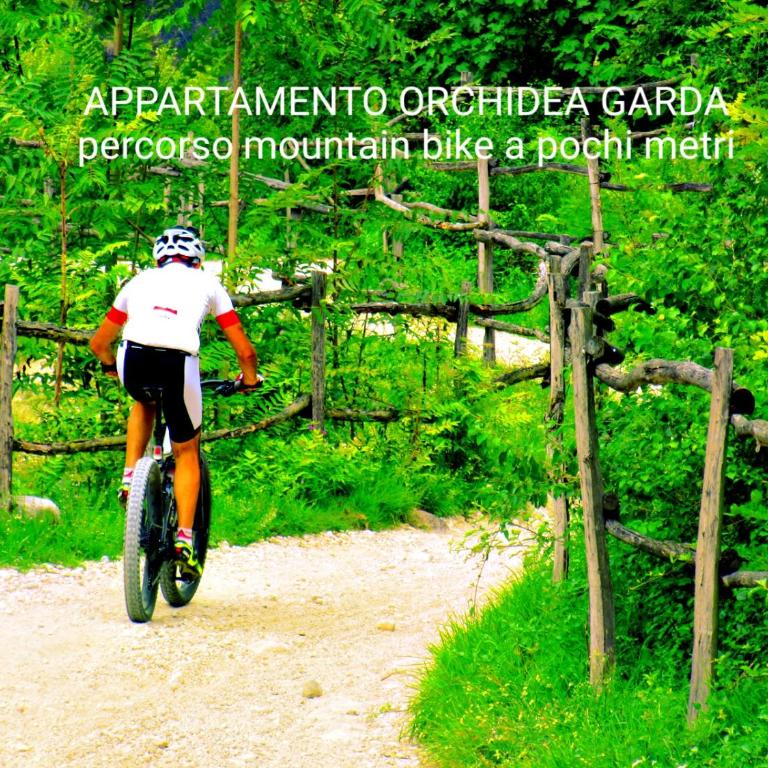 Appartamento Orchidea Garda - Appartamento con 2 Camere da Letto - 58