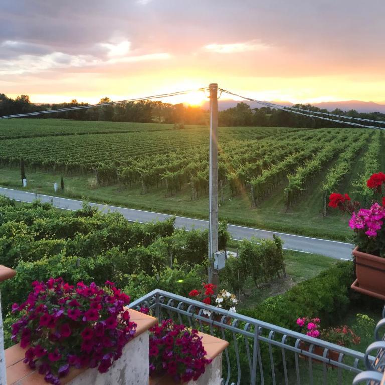 Casa Luigi - appartamenti a Peschiera del Garda - Appartamento con Terrazza - 14