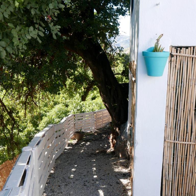 La Casa Turquesa - Casa con 1 dormitorio - 27