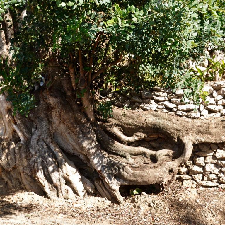 La Casa Turquesa - Casa con 1 dormitorio - 30