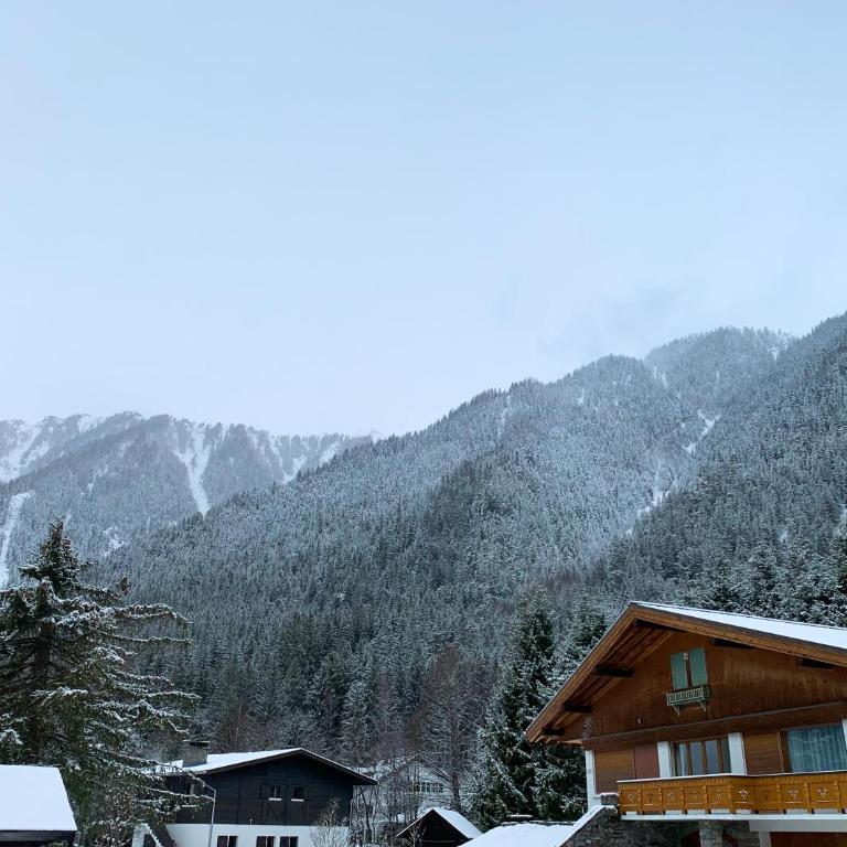 Apartment Maya, La Praz, Chamonix Mont Blanc - Apartamento de 2 dormitorios - 45