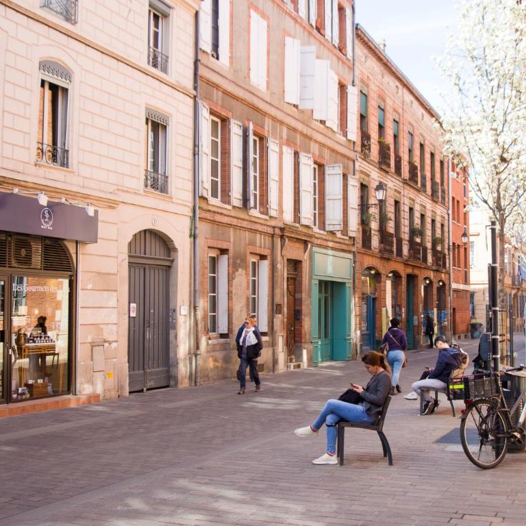 Les Cordeliers, à deux pas de capitole - Appartement 1 Chambre - 17