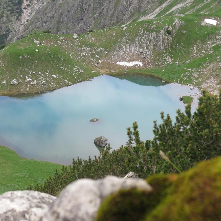 Ferienwohnungen Alpentraum - Alpengrün - Apartment mit 1 Schlafzimmer - 11