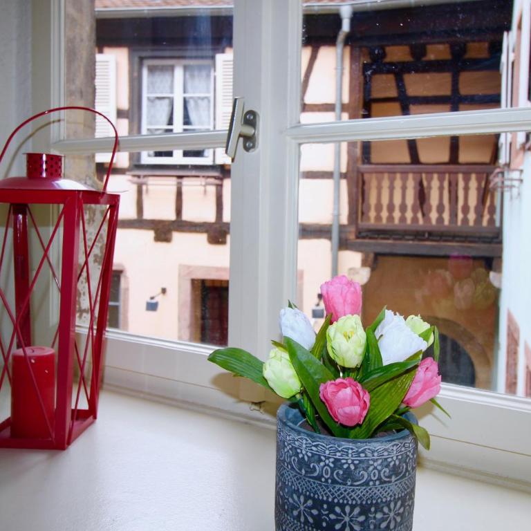 Gite BI UNS chez Silvana - Appartement 1 Chambre - 15