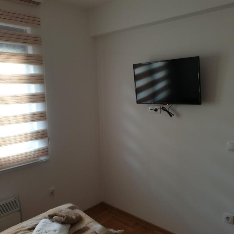 Apartman petica Kovačević - Apartman sa 1 Spavaćom Sobom - 16