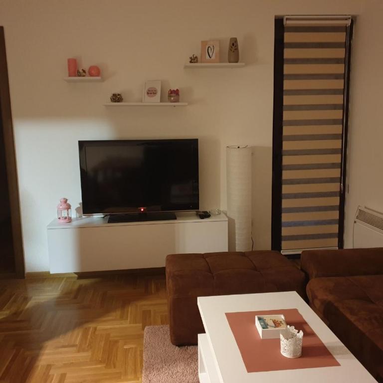 Apartman petica Kovačević - Apartman sa 1 Spavaćom Sobom - 9